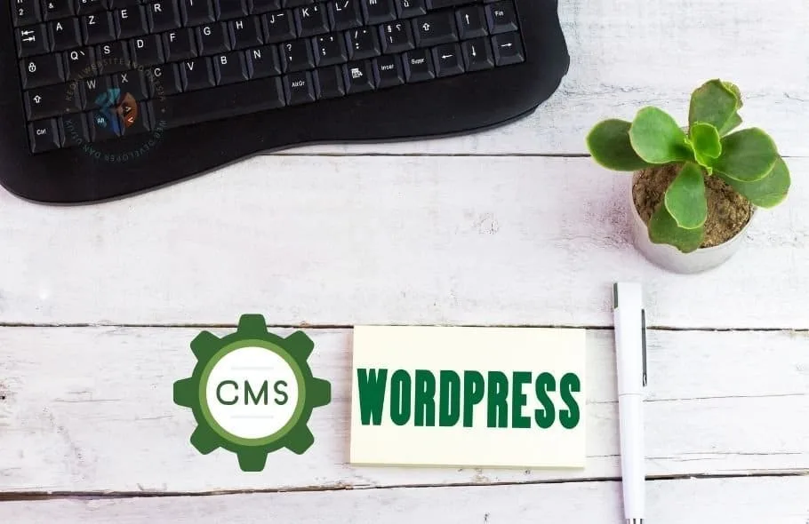 cms wordpress